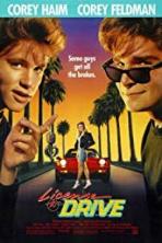License to Drive