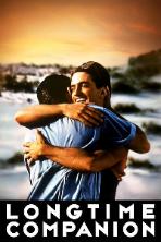 Longtime Companion
