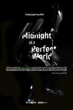 Midnight in a Perfect World