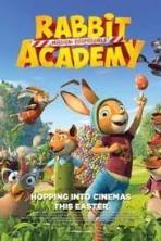 Rabbit Academy 2