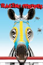 Racing Stripes