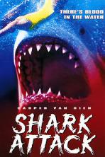 Shark Attack