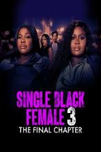 Single Black Female 3: The Final Chapter