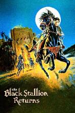 The Black Stallion Returns
