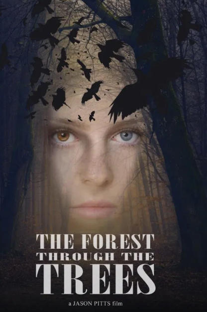 The Forest Through the Trees