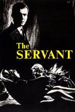 The Servant