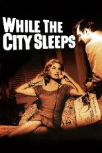 While the City Sleeps